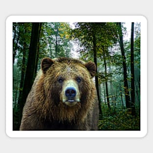 American Brown Bear Sticker